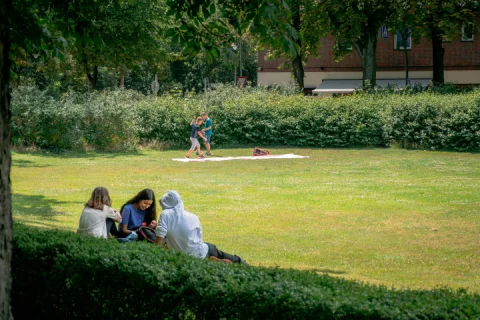 Einfach mal die Seele baumeln lassen